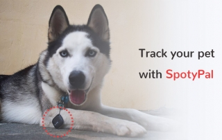 pet tracker - dog tracker